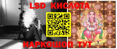 прущие грибы Можайск