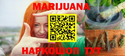прущие грибы Можайск